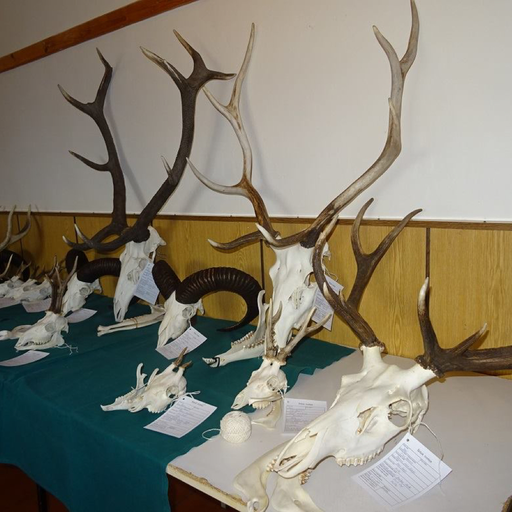 Výročná členská schôdza Poľovníckeho združenia Divé husi