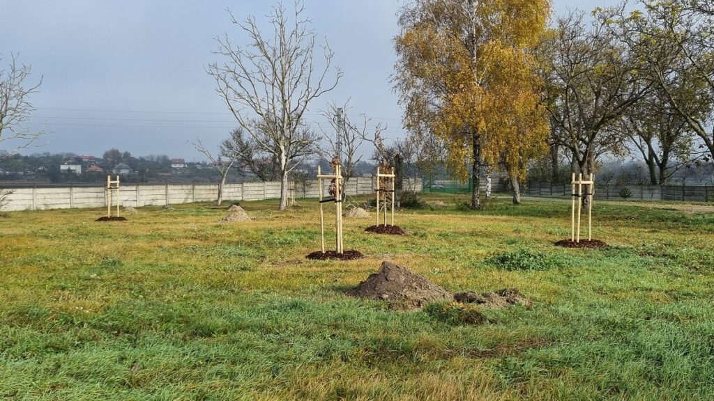 Odborníci v extraviláne obce Mužla vysadili 200 stromčekov