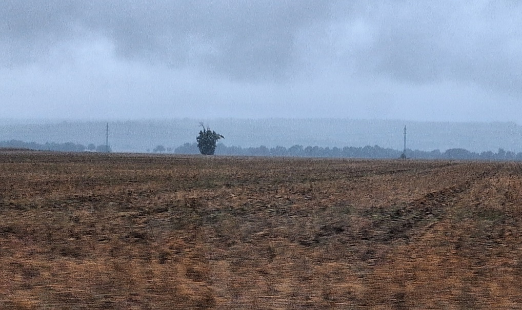 Jesenná krajina v mužlianskom chotári