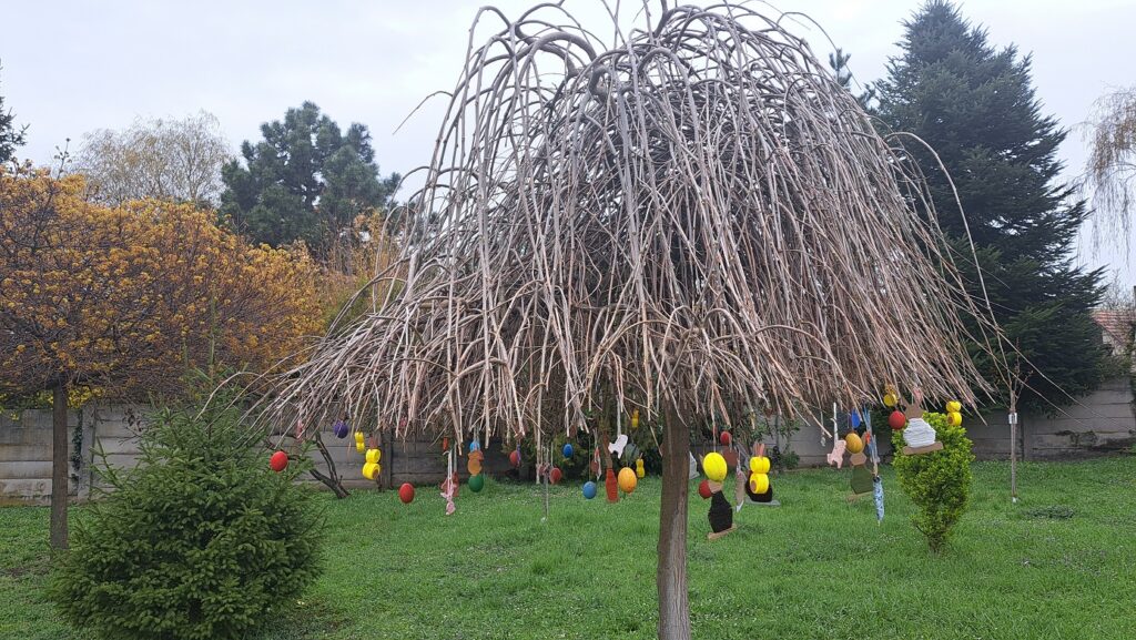 A gyermekek húsvéti díszbe öltöztették a fákat Muzslán